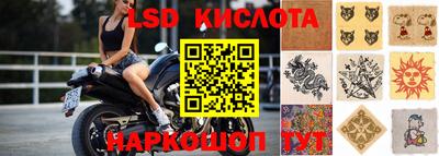 spice Донецк